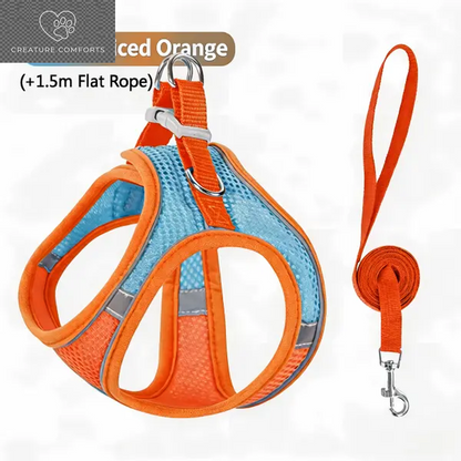 Keep Your Furry Friend Safe on Adventures! 🐾✨ Check Out Our Adjustable Pet Safety Belt & Strap Set - Perfect for Travel, Training & Hiking! 🌍🐶 #PetSafety #AdventurePaws