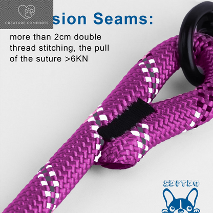 Durable Dog Leash, 5 FT/6 FT, 1/2", Padded Handle Nylon Dog Reflective Leash for Small Medium & Large Dogs Walking(6 Ft, Purple)