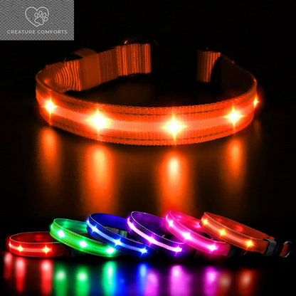 MASBRILL Led Dog Collar - Rechargeable, Water-Resistant, Flashing, Glowing Night Walking Collar