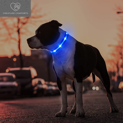 MASBRILL Led Dog Collar - Rechargeable, Water-Resistant, Flashing, Glowing Night Walking Collar