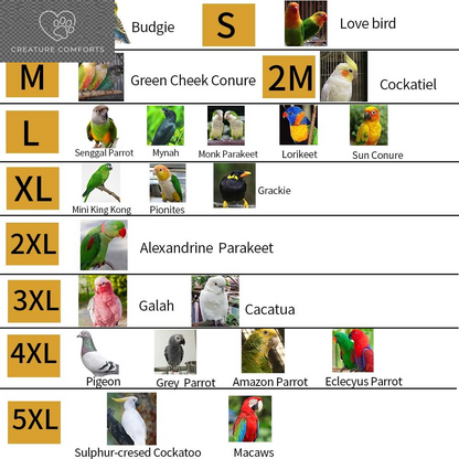 Bird Flight Harness Vest, Parrot Flight Suit with Leash for Parakeets Cockatiels Conures Budgies, Bird Flying Clothes with Rope and Handle for Outdoor Activities Training, anti Bite (L, Yellow)
