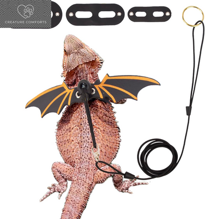 Black Bearded Dragon Leash Harness, 3 Size Pack, Cool Bat Wing | Soft Leather Wing Harness, Removable Leash, for Bearded Dragon Lizard Reptile, Great for Outdoor Walking